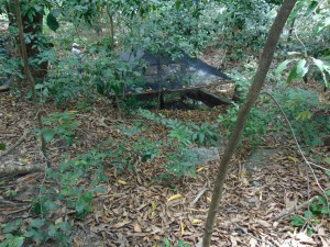 DSC01029