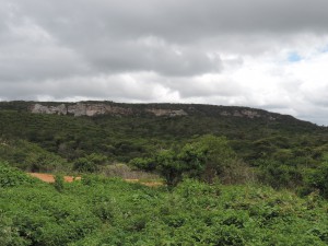 DSCN1402