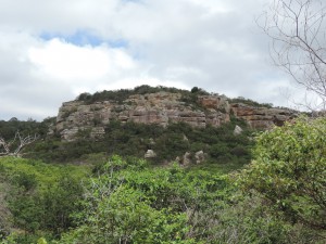 DSCN1403