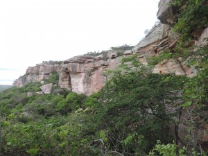 DSCN1420