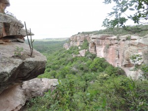 DSCN1422