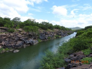 DSCN2677