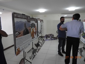 DSCN7619