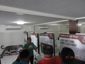 DSCN7626