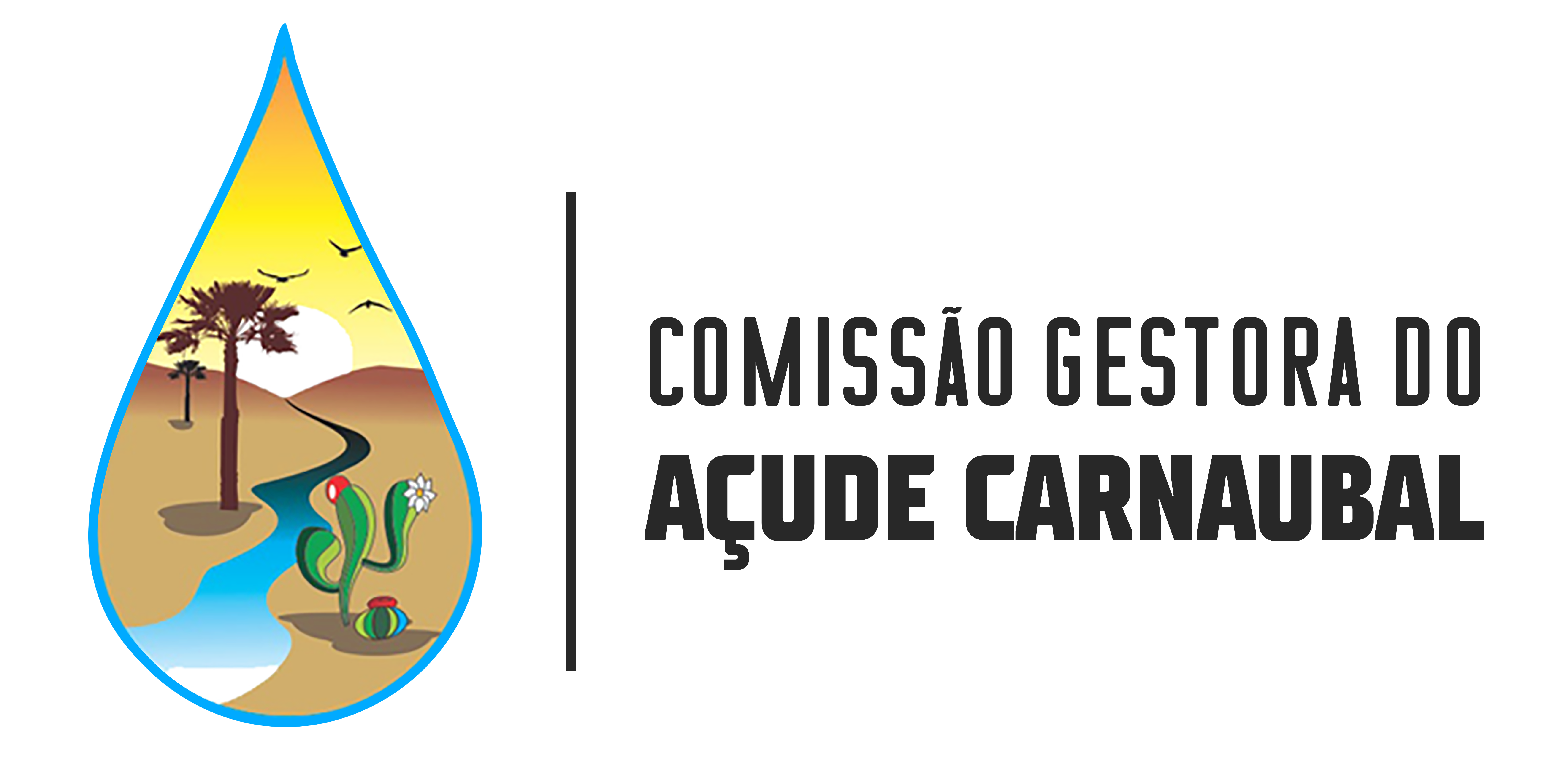 Sertões de Crateús: Comissão gestora discute alocação do açude Flor do Campo