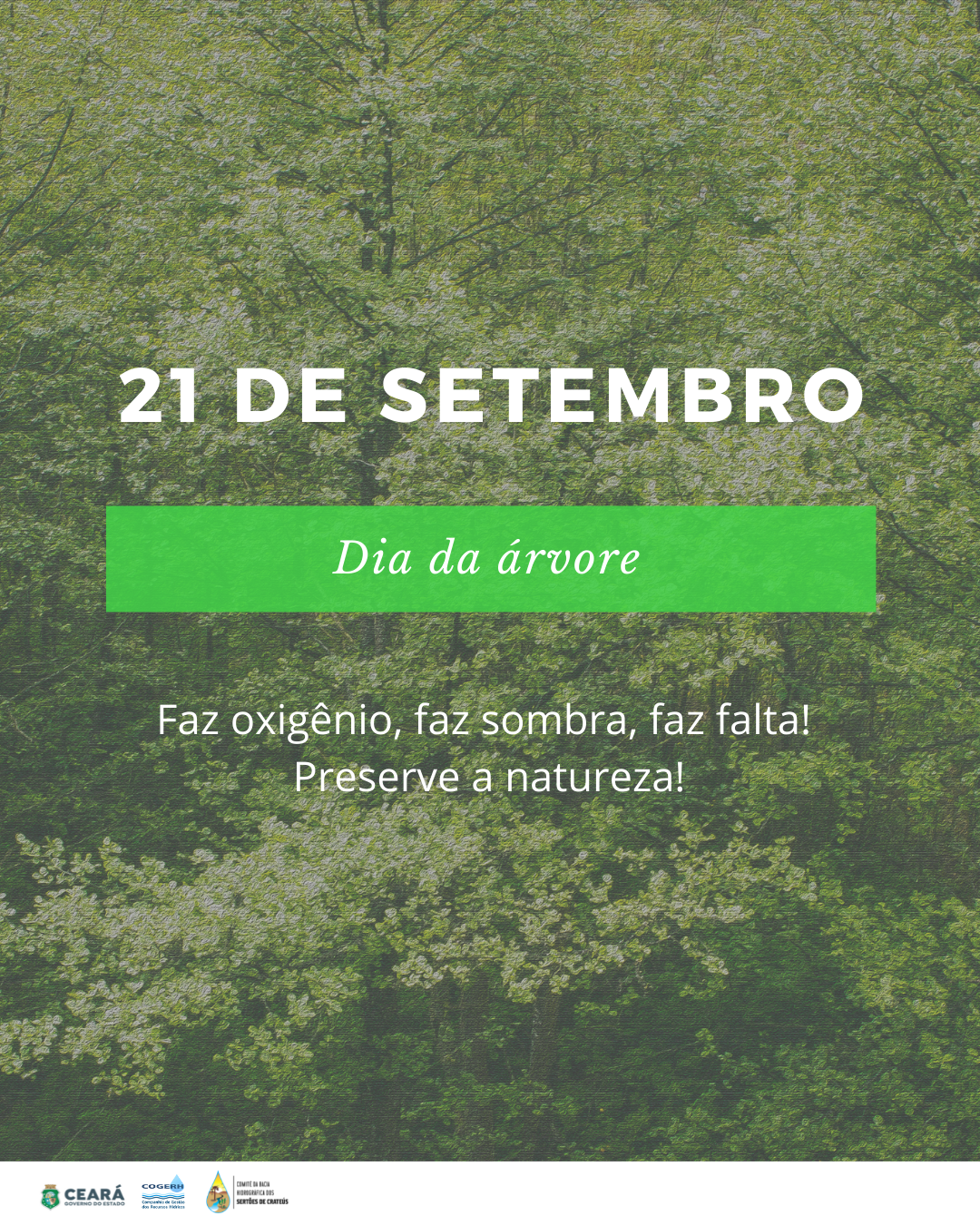 Dia da árvore