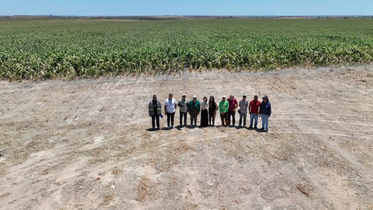 Comissão de Acompanhamento da Operação do Açude Realejo visita áreas irrigadas em Crateús